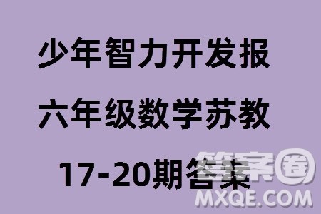 2023年秋少年智力开发报六年级数学上册苏教版第17-20期答案