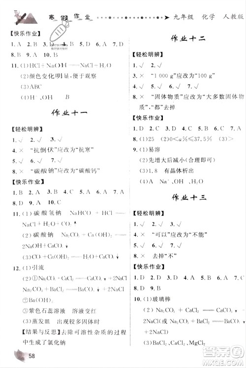 甘肃教育出版社2024寒假作业九年级化学人教版参考答案 甘肃教育出版社2024寒假作业九年级化学人教版参考答案