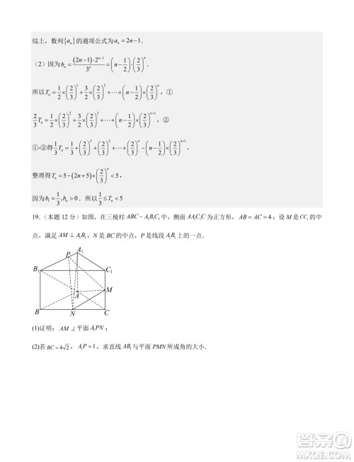 深圳外国语学校2024届高三元月阶段测试数学试卷答案