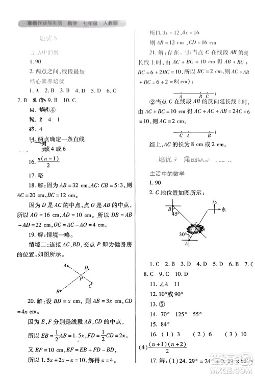 陕西师范大学出版总社有限公司2024寒假作业与生活七年级数学人教版参考答案