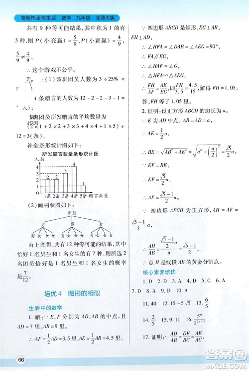 陕西师范大学出版总社有限公司2024寒假作业与生活九年级数学北师大版参考答案