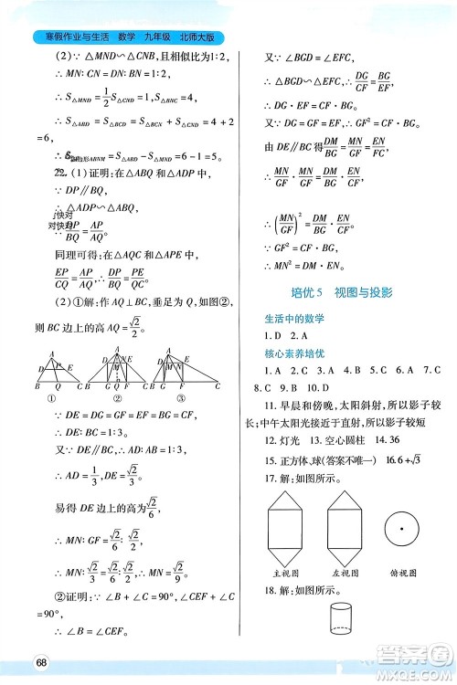 陕西师范大学出版总社有限公司2024寒假作业与生活九年级数学北师大版参考答案