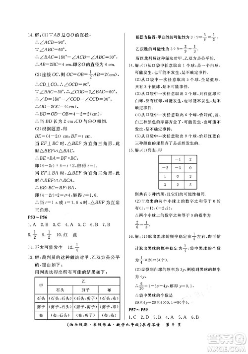 湖南大学出版社2024北京央教湘岳假期寒假作业九年级数学人教版答案