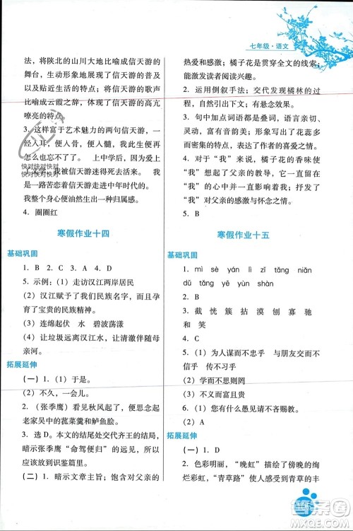 河北人民出版社2024寒假作业七年级语文通用版参考答案
