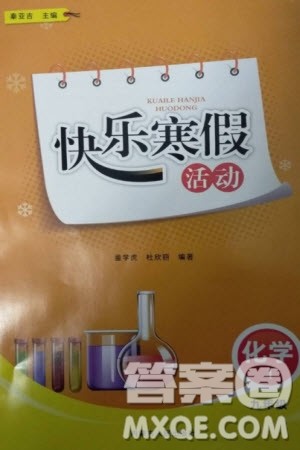 内蒙古人民出版社2024快乐寒假活动九年级化学通用版参考答案 内蒙古人民出版社2024快乐寒假活动九年级化学通用版参考答案