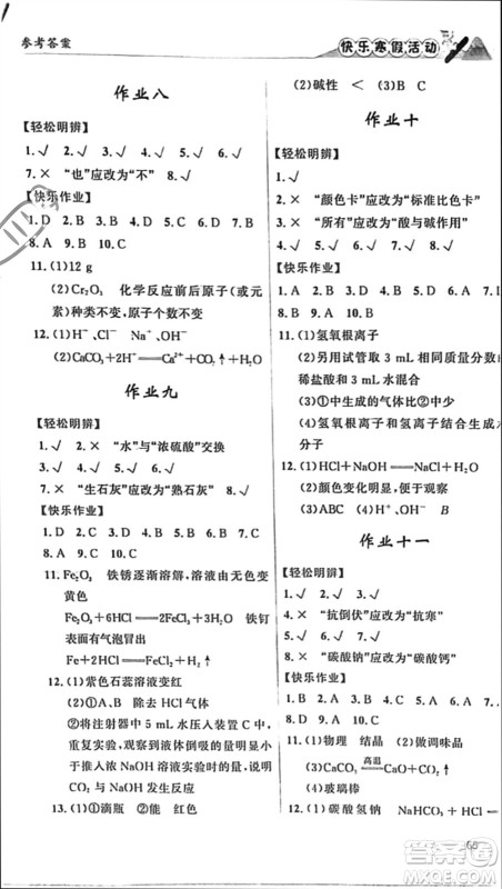 内蒙古人民出版社2024快乐寒假活动九年级化学通用版参考答案