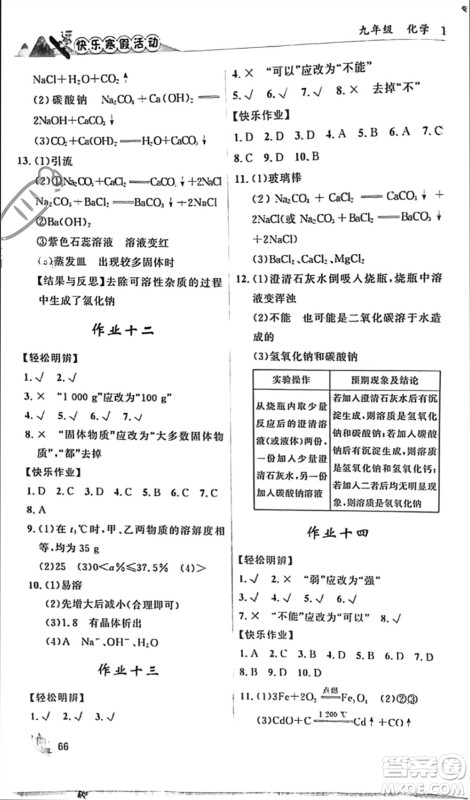 内蒙古人民出版社2024快乐寒假活动九年级化学通用版参考答案