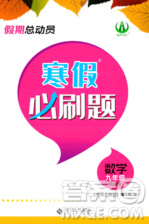 安徽大学出版社2024假期总动员寒假必刷题九年级数学课标版答案 安徽大学出版社2024假期总动员寒假必刷题九年级数学课标版答案