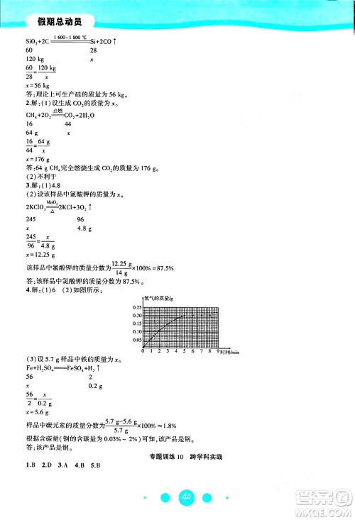 安徽大学出版社2024假期总动员寒假必刷题九年级化学人教版答案