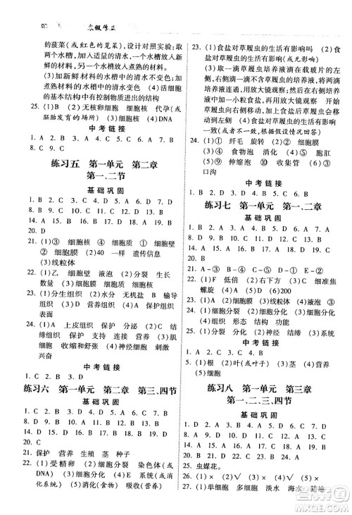 河北美术出版社2024寒假作业七年级生物江苏版答案