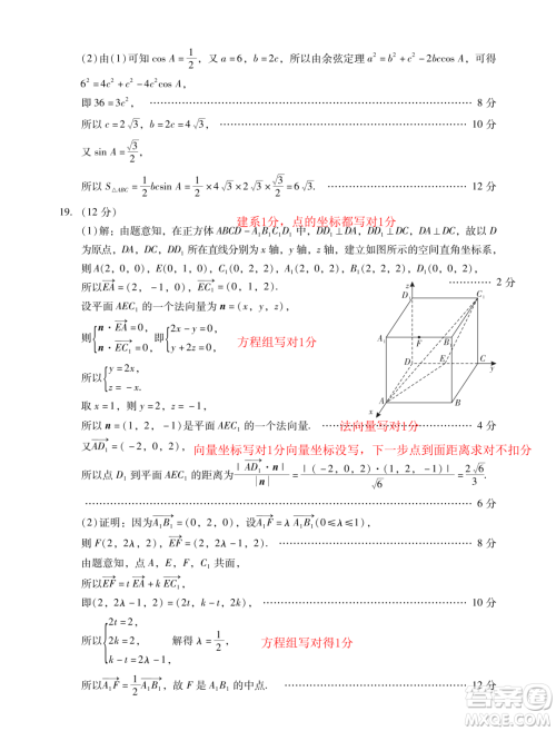 广东汕尾2023-2024学年高二上学期1月期末数学试题答案