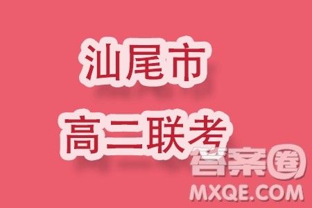 广东汕尾2023-2024学年高二上学期1月期末数学试题答案