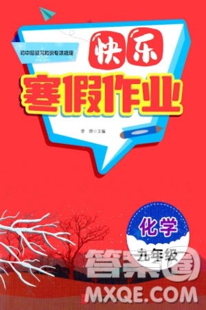 河北美术出版社2024快乐寒假作业九年级化学通用版参考答案