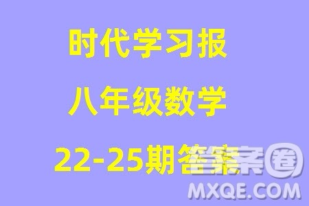 时代学习报数学周刊2023年秋八年级上册22-25期参考答案
