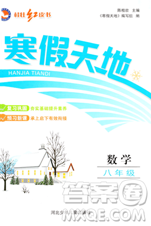 河北少年儿童出版社2024桂壮红皮书寒假天地八年级数学通用版答案