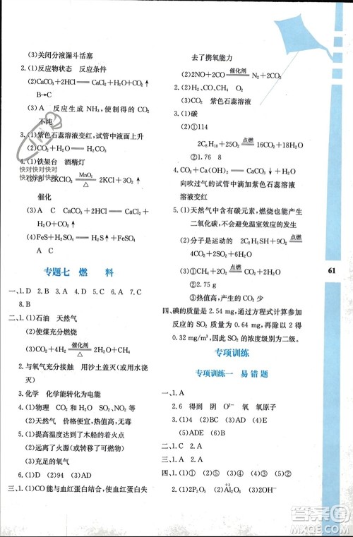 陕西人民教育出版社2024陕教出品寒假作业九年级化学人教版A版参考答案