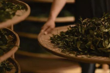 文化遗产主题作文800字 关于文化遗产的主题作文800字 文化遗产主题作文800字 关于文化遗产的主题作文800字