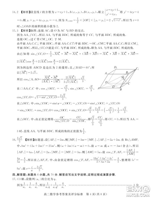 广东湛江2023-2024学年高二上学期期末调研考试数学试题答案
