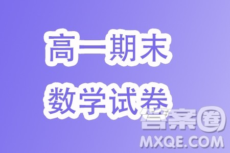 湖北武汉部分重点2023-2024学年高一上学期期末联考数学试卷答案
