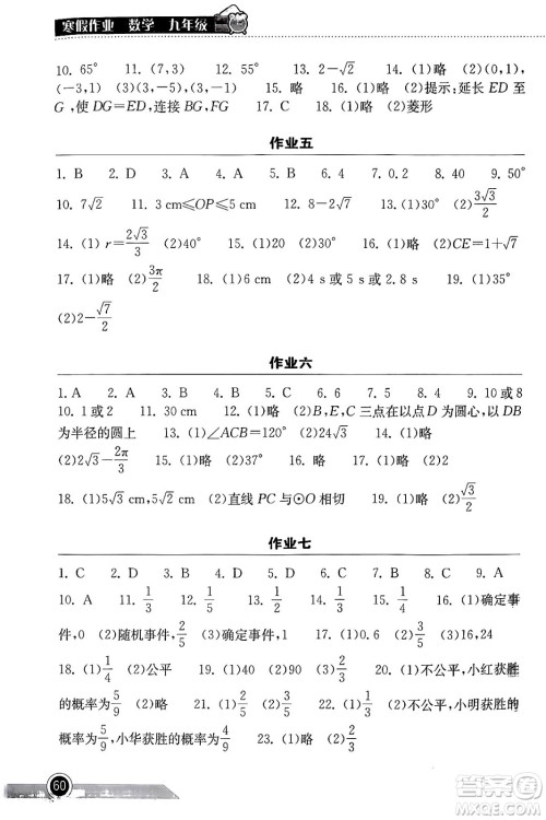 湖北教育出版社2024长江作业本寒假作业九年级数学通用版答案