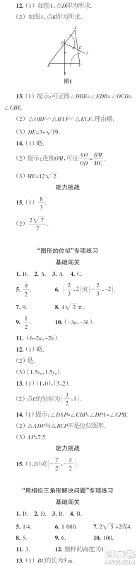 时代学习报数学周刊2023年秋九年级上册寒假特刊1-4期参考答案