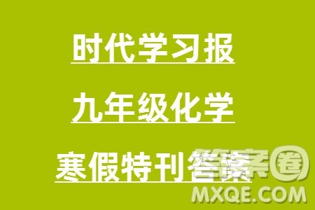 时代学习报初中版2023年秋九年级化学上册寒假特刊参考答案