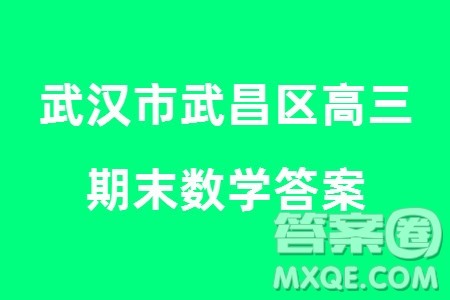 武汉市武昌区2024届高三上学期期末考试质量检测数学参考答案 武汉市武昌区2024届高三上学期期末考试质量检测数学参考答案
