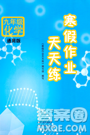 文心出版社2024年寒假作业天天练九年级化学通用版答案 文心出版社2024年寒假作业天天练九年级化学通用版答案