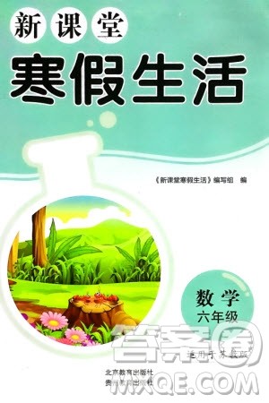 北京教育出版社2024新课堂寒假生活六年级数学苏教版参考答案