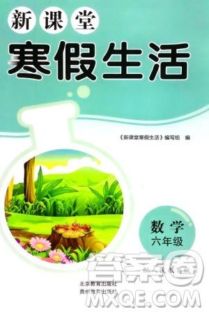 北京教育出版社2024新课堂寒假生活六年级数学人教版参考答案 北京教育出版社2024新课堂寒假生活六年级数学人教版参考答案