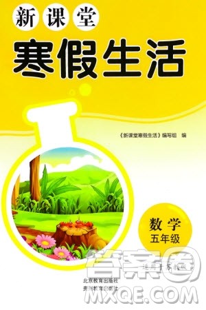 北京教育出版社2024新课堂寒假生活五年级数学苏教版参考答案