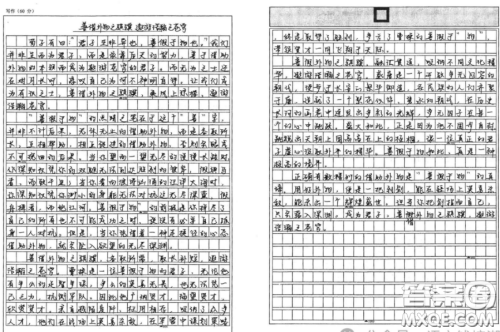 善假于物和依靠自己材料作文800字 关于善假于物和依靠自己的材料作文800字