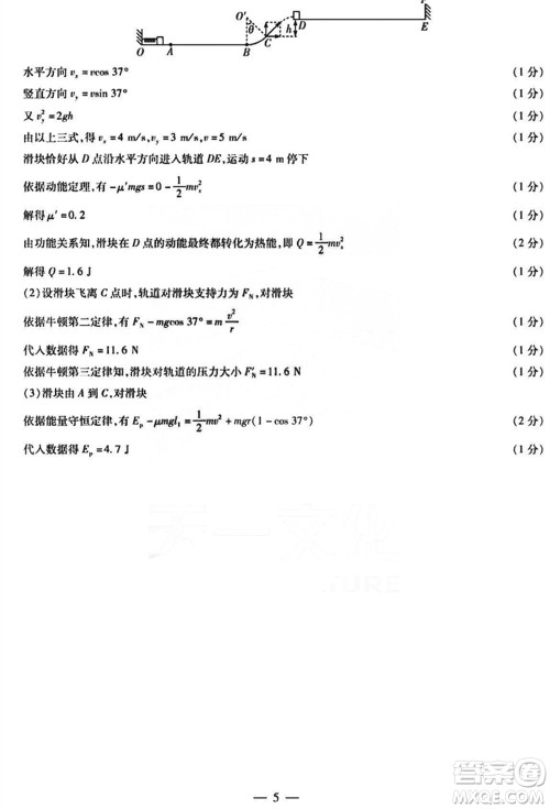 沧衡名校联盟2023-2024学年高三上学期期末联考物理参考答案