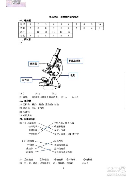 中西书局2024精彩假期寒假作业七年级合订本通用版答案