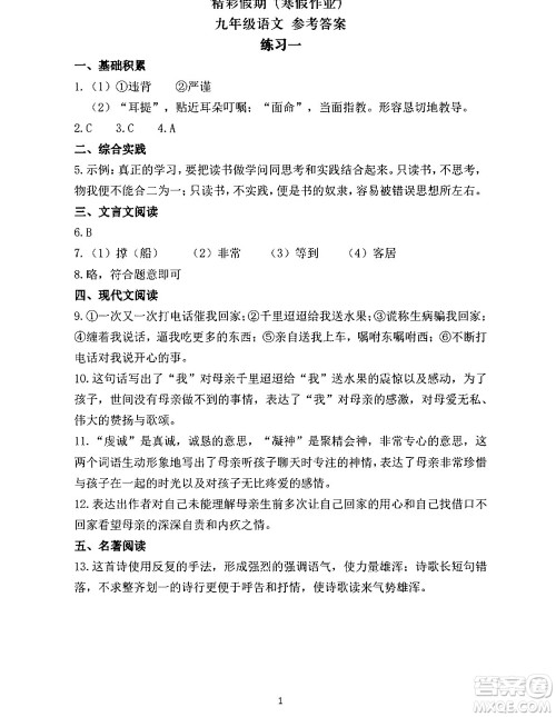 中西书局2024精彩假期寒假作业九年级合订本通用版答案