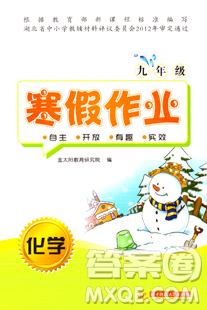 华中科技大学出版社2024寒假作业九年级化学课标版答案