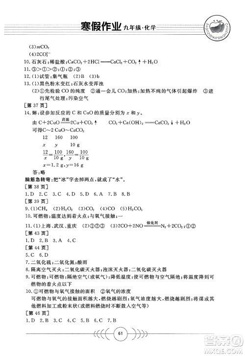 华中科技大学出版社2024寒假作业九年级化学课标版答案