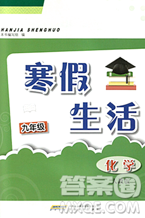 安徽教育出版社2024寒假生活九年级化学人教版答案