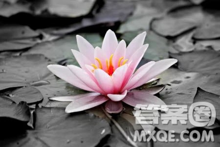 始终有两种力量在我们一生中激荡材料作文800字 关于始终有两种力量在我们一生中激荡的材料作文800字 始终有两种力量在我们一生中激荡材料作文800字 关于始终有两种力量在我们一生中激荡的材料作文800字