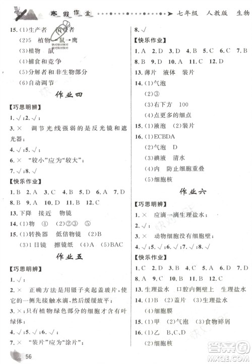 甘肃少年儿童出版社2024寒假作业七年级生物人教版参考答案 甘肃少年儿童出版社2024寒假作业七年级生物人教版参考答案