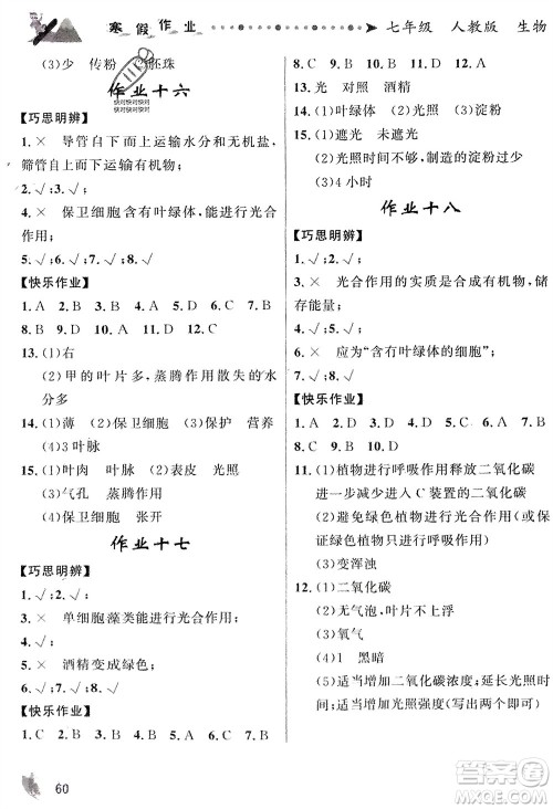甘肃少年儿童出版社2024寒假作业七年级生物人教版参考答案 甘肃少年儿童出版社2024寒假作业七年级生物人教版参考答案