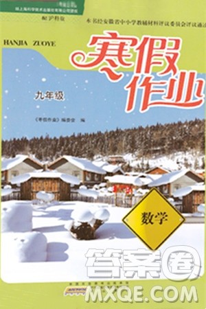 黄山书社2024寒假作业九年级数学沪科版答案