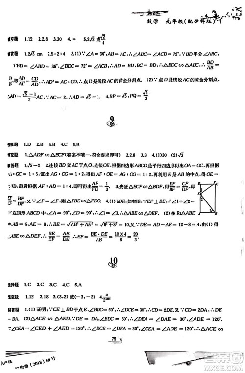 黄山书社2024寒假作业九年级数学沪科版答案