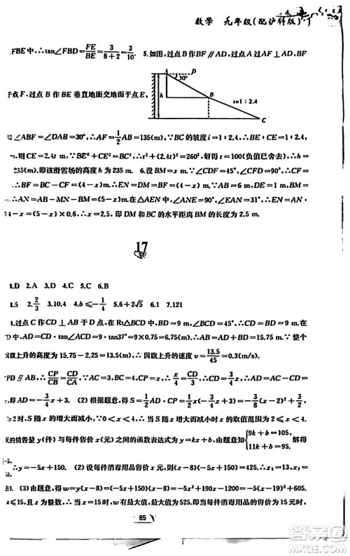 黄山书社2024寒假作业九年级数学沪科版答案