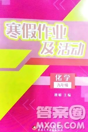 新疆文化出版社2024寒假作业及活动九年级化学通用版参考答案