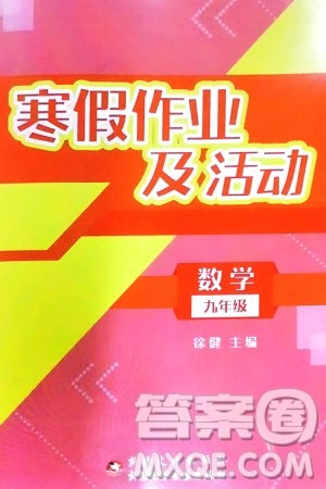 新疆文化出版社2024寒假作业及活动九年级数学通用版参考答案