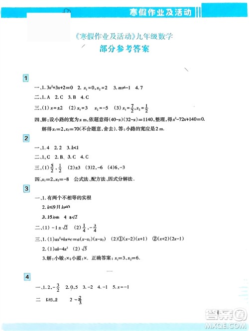 新疆文化出版社2024寒假作业及活动九年级数学通用版参考答案