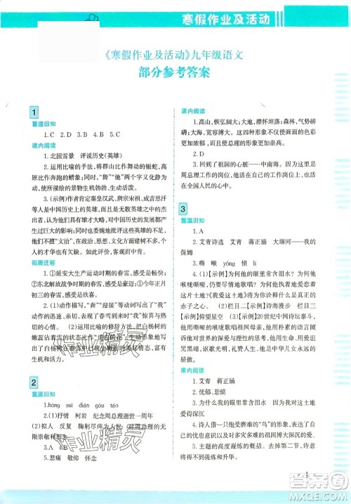 新疆文化出版社2024寒假作业及活动九年级语文通用版参考答案