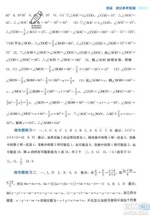 广西教育出版社2024新课程寒假作业七年级数学通用版参考答案