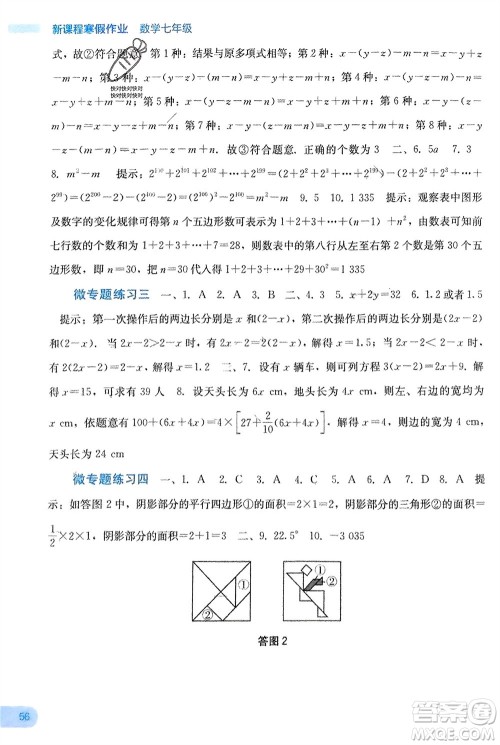 广西教育出版社2024新课程寒假作业七年级数学通用版参考答案